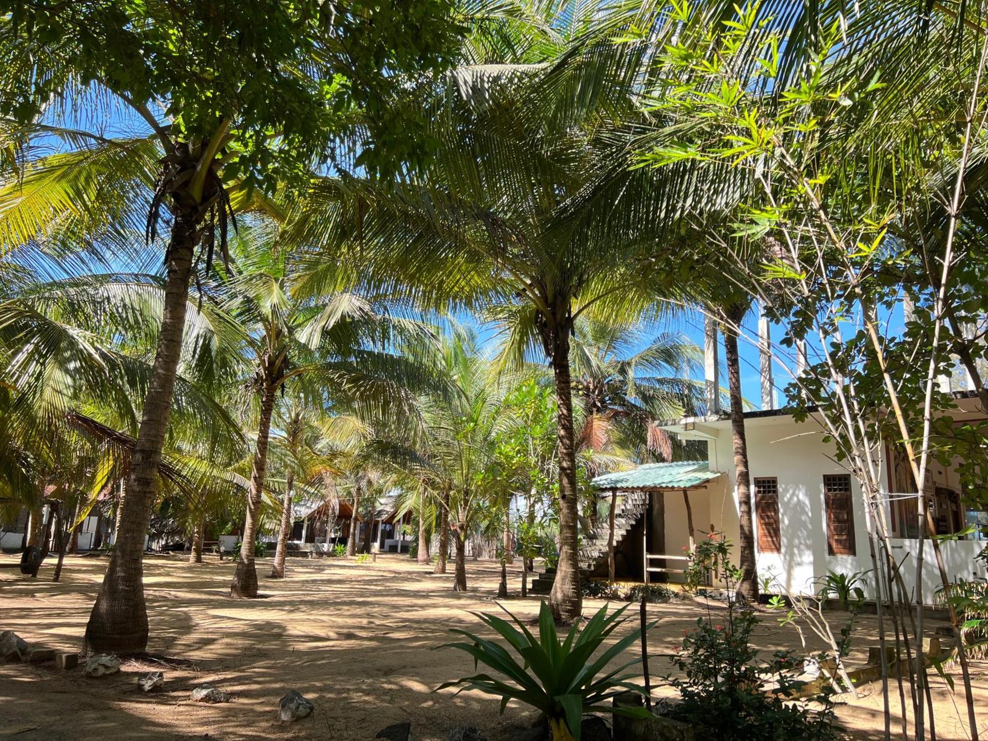 Sand Dune Beach Resort & Surf Camp Arugam Bay Bagian luar foto